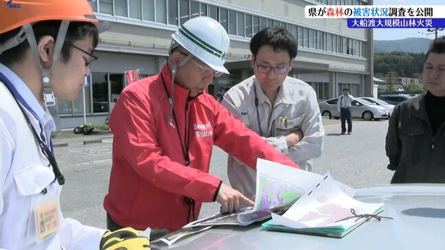 大規模山林火災が発生した大船渡市で岩手県が被害森林調査を公開|TBS NEWS DIG
