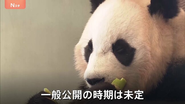 4頭のパンダが今後暮らす「成都ジャイアントパンダ繁殖研究基地」高さ約70メートルの「タケノコタワー」も　和歌山・アドベンチャーワールドのパンダあす（28日）返還|TBS NEWS DIG