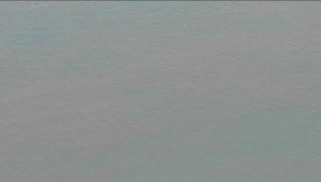 県東部海域の赤潮警報を解除　シャットネラ属とコクロディニウム・ポリクリコイデス　漁業被害なし　広島　|　RCC NEWS | 広島ニュース | RCC中国放送