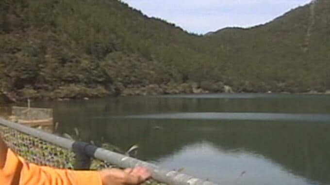 観光地近くのダム湖「鴛鴦の池」で男性遺体　身元不明、事件・事故両面で調査【雲仙】|TBS NEWS DIG