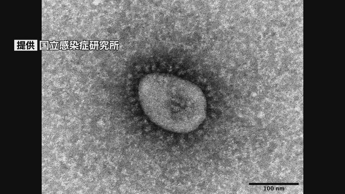 長崎県内　新型コロナ　新たに38人感染　先週日曜より増加　|　長崎のニュース | 天気 | NBC長崎放送