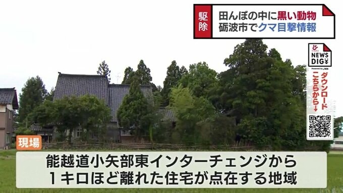 早朝のクマ目撃　田んぼの中の住宅の木に登り膠着状態…下りてきたところを狙われ　富山・砺波市　|　富山のニュース｜天気・防災｜チューリップテレビ