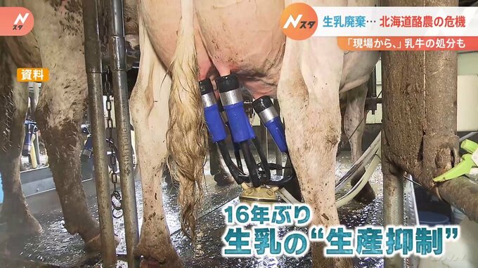 「どこで収入立てればいいの」1トン以上の生乳を“廃棄”　北海道の酪農が“最悪の事態”に|TBS NEWS DIG