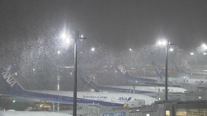 【速報】大雪の影響で6日の航空便あわせて31便の欠航決まる|TBS NEWS DIG