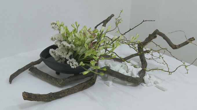 1日も早い能登の復興願い 春を装う県いけばな展　|　石川県のニュース｜MRO北陸放送