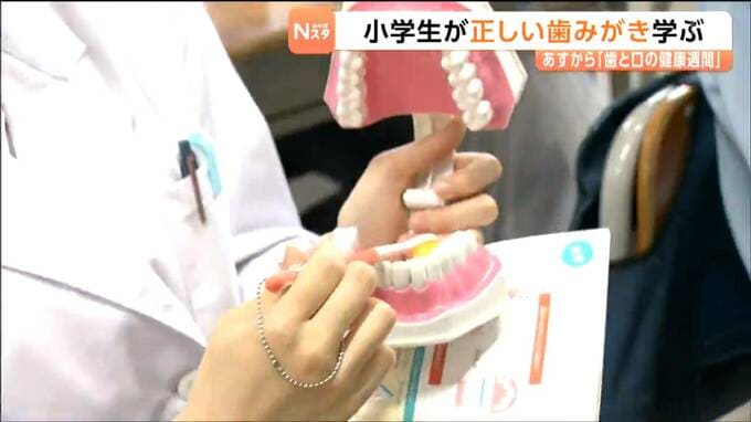 「磨き残しがないようにいっぱい磨きたい」小学生が歯科衛生士から正しい歯磨きの仕方を学ぶ　仙台|TBS NEWS DIG