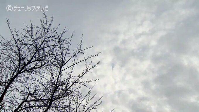 節分の富山県内は次第に晴れに　冷え込み緩み日中は９℃まで上がる予想　雪解け進みなだれなどに注意　　|　富山のニュース｜天気・防災｜チューリップテレビ