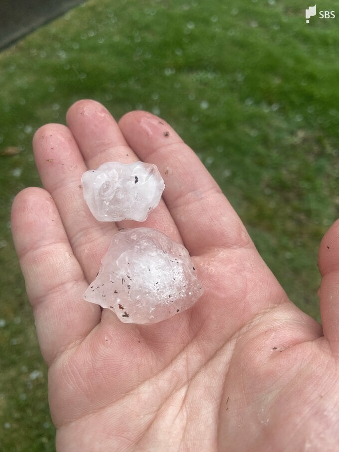 静岡市でひょうが降る今夜は局地的に雷を伴った激しい雨に注意＝静岡市駿河区|TBS NEWS DIG