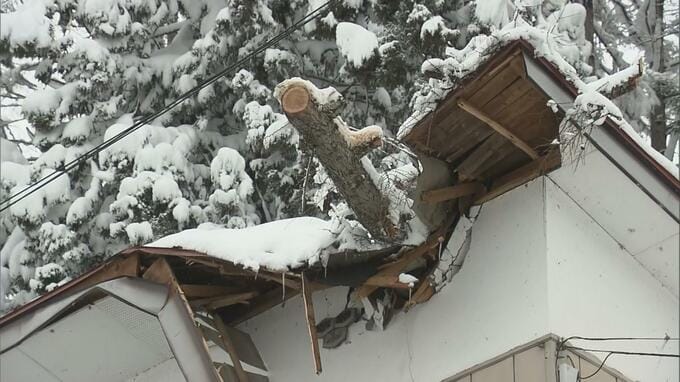 「大きな音がした」雪の重みで木が倒れ、住宅屋根に被害　けが人なし　福島・北塩原村　|　福島のニュース│TUF