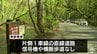 連休の観光地で事故　外国籍の自称・国家公務員の男を逮捕　過失運転傷害の疑い　レンタカーで男性をはねたか　奥入瀬渓流沿い国道102号　青森県十和田市　|　青森のニュース│ATV NEWS│青森テレビ