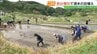 「昔の景色を取り戻す」休耕地を再生　西谷棚田で酒米田植え　福島・二本松市　|　福島のニュース│TUF