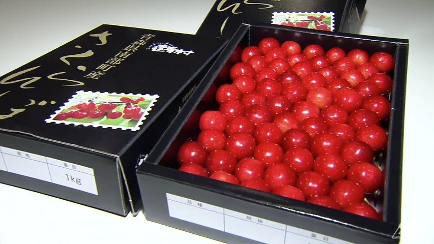 フルーツ娘 初夏の味覚サクランボをPR 青森県 | TBS NEWS DIG フォト