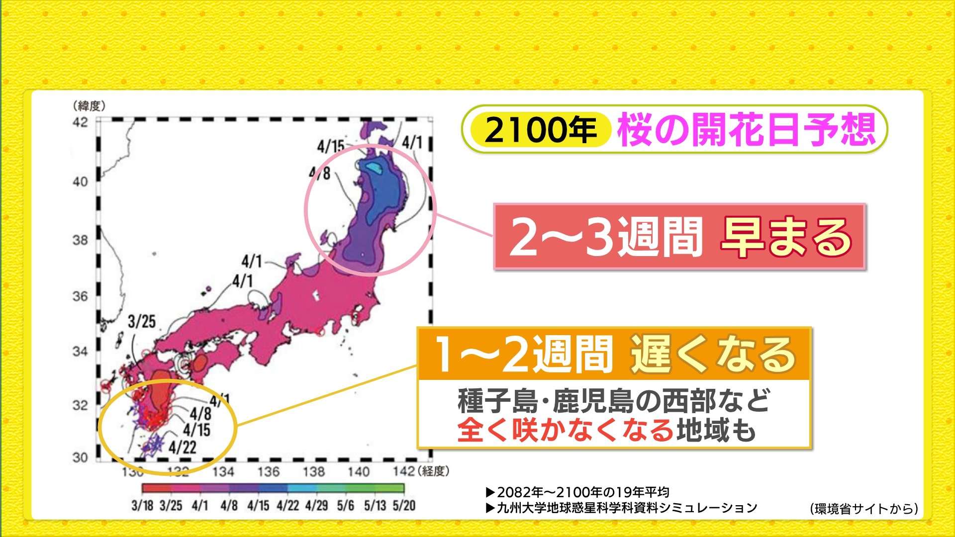 桜前線「異例の早さ」で青森到達 九州より東北で先に満開 将来は「全国一斉に開花」が当たり前に⁉ | TBS NEWS DIG