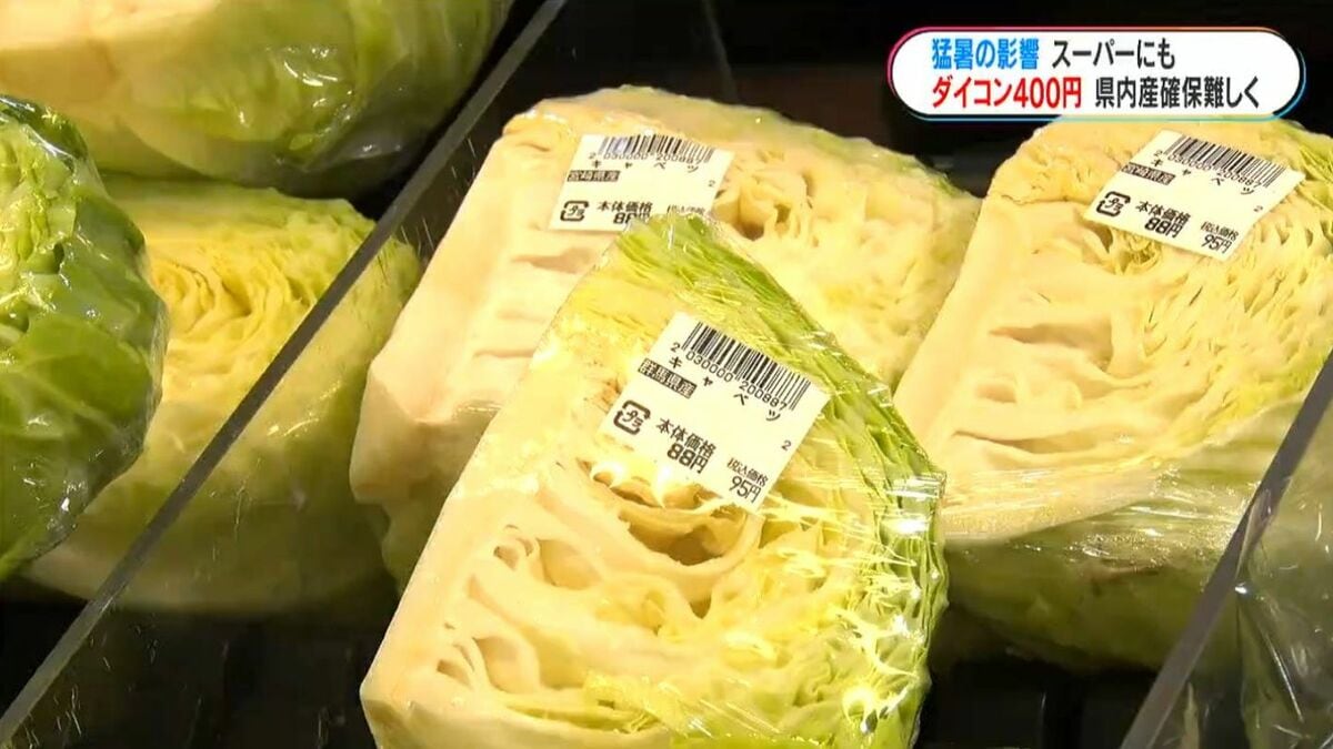 大根1本400円前後に…暑さ・少雨で野菜価格に影響「半分にカット」スーパーは工夫　鹿児島市
