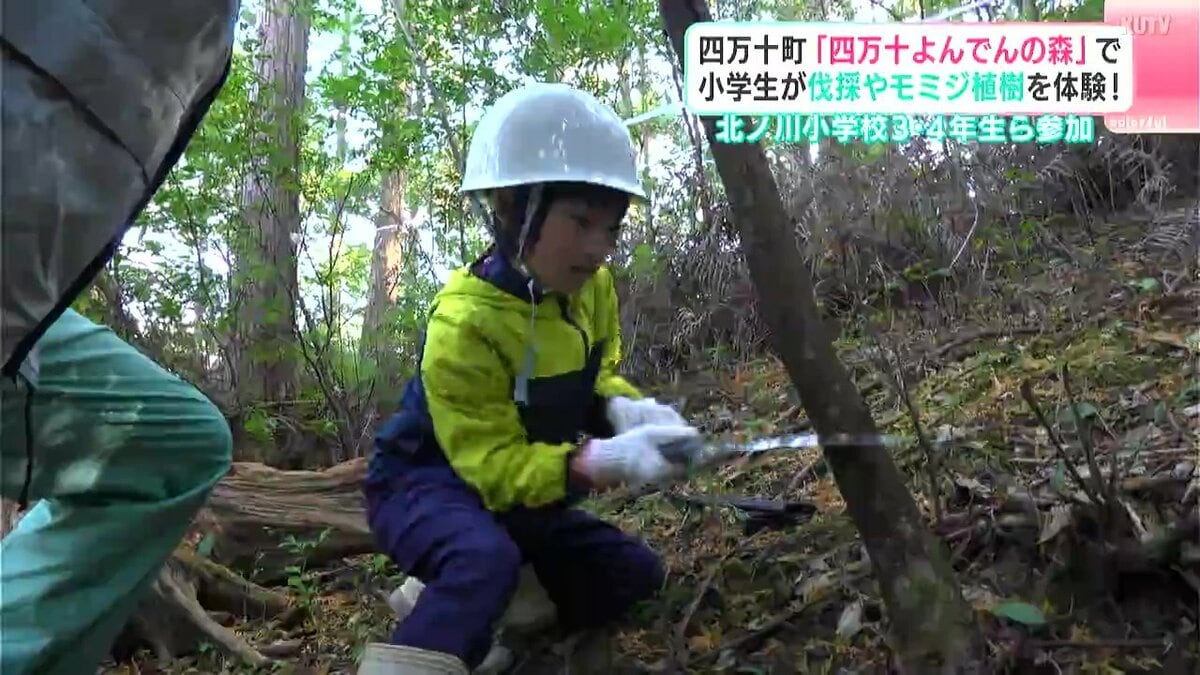 四万十町「四万十よんでんの森」で小学生が伐採やモミジ植樹を体験！　北ノ川小学校3・4年生らが参加（高知）