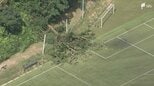 【詳報】「木がバウンドするくらいの衝撃で倒れた」サッカーグラウンドで倒木 未就学の女児2含む7人重軽傷 観戦していた保護者らを直撃... 給水タイム中に発生＝静岡|TBS NEWS DIG