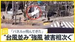 東京で最大瞬間風速26.2ｍ“台風並み”の強風 「ディズニーのパレードは中止」 散歩中のポメラニアンはオールバック【news23】|TBS NEWS DIG