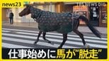 【2026年本格始動！】初競りで「一番マグロ」史上初5億円超え…午年の仕事始めに馬が“脱走”…街は一時騒然【news23】|TBS NEWS DIG
