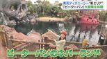 東京ディズニーシーの新エリア「ファンタジースプリングス」に潜入!|TBS NEWS DIG