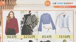 とにかく安いSHEIN(シーイン)の秘密は少量生産!?専門家に聞いてみた|TBS NEWS DIG