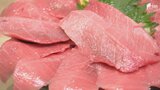 「逃がさなければいけないのはつらい」増えたクロマグロがとりたくてもとれない! 日本が漁獲枠の拡大求めた国際会議で合意ならず...とれたマグロを放流するしかない状態＝静岡|TBS NEWS DIG