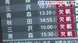 日本航空では岩手・花巻空港発着便の全便欠航が決定　台風5号、空の便への影響は？|TBS NEWS DIG