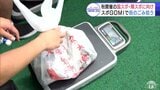 ごみ拾いはスポーツだ！日本発祥のスポーツイベント「スポＧＯＭＩ」がむつ市で開催　今秋開催の国スポ・障スポに向け街をキレイに！　大会通じて約58.64キロのごみ　ごみの量や種類でポイント競う|TBS NEWS DIG