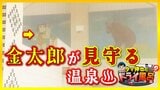 「ちょっと待ってよ!アレ」まさかり担いだ金太郎が見守る温泉は茶色の湯 命名の由来は?【ドライ風呂Season2】4月16日放送回見逃し配信 | 青森のニュース│ATV NEWS│青森テレビ