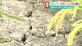 猛暑と水不足がもたらした「新たな問い」今年の天候はキツすぎる…『一等で当然』の魚沼産コシヒカリ農家に密着 | 新潟のニュース・天気|BSN NEWS|BSN新潟放送