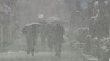 金沢で今季初の積雪 山地では27日朝まで50センチ予想 交通障害に注意・警戒|TBS NEWS DIG