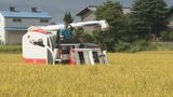 「焦って刈っている」コメ農家も稲刈り足早に 台風7号15日遅くから16日朝にかけ石川県内最接近 　|　石川県のニュース｜MRO北陸放送