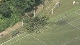 【詳報】「木がバウンドするくらいの衝撃で倒れた」サッカーグラウンドで倒木 未就学の女児2含む7人重軽傷 観戦していた保護者らを直撃... 給水タイム中に発生＝静岡　|　静岡のニュース | SBSNEWS | 静岡放送