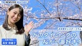 あなたはどのタイミングの桜が一番好き?私が“五分咲き”を好きだった理由【高安奈緒子のお天気コラム】|TBS NEWS DIG