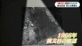 「縄文杉」確認から60年 “屋久島のシンボル”直面する新たな課題 鹿児島|TBS NEWS DIG