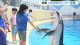 「もう1回、もう10回ぐらいやりたい」サイン出して技に挑戦!イルカのトレーナー体験=静岡・沼津市 | 静岡のニュース | SBSNEWS | 静岡放送
