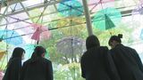 梅雨を楽しく…144本の色とりどりの傘「縁雫アンブレラスカイ」開催前に高校生がPR　島根・松江市　|　BSSニュース | BSS山陰放送