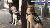 行方不明者を捜索する嘱託警察犬として2頭に嘱託書を交付 盛岡市|TBS NEWS DIG