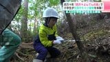 四万十町「四万十よんでんの森」で小学生が伐採やモミジ植樹を体験！　北ノ川小学校3・4年生らが参加（高知）　|　高知のニュース・天気｜KUTV NEWS | KUTVテレビ高知