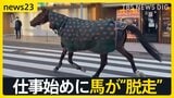 【2026年本格始動！】初競りで「一番マグロ」史上初5億円超え…午年の仕事始めに馬が“脱走”…街は一時騒然【news23】|TBS NEWS DIG