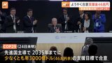 インド「課題の重大さに対処できない」 COP29、途上国へ年46兆円の支援で合意も“反発の声”|TBS NEWS DIG