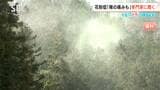 スギ花粉の飛散 長野では去年の3倍ペース!?【くらピタ】鼻水、目のかゆみ、のどの“イガイガ”も…耳鼻科医に聞く今シーズンの花粉症の特徴は?|TBS NEWS DIG