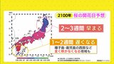 桜前線「異例の早さ」で青森到達 九州より東北で先に満開 将来は「全国一斉に開花」が当たり前に⁉|TBS NEWS DIG