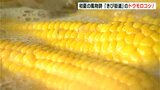 雨にもかかわらず「きび街道」に大勢の行列　ゆでたての甘いトウモロコシ求めて|TBS NEWS DIG