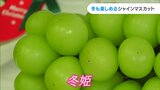 「今が冬だとは思えない」氷温貯蔵ブドウ“冬姫”をクリスマスや正月にも楽しんで【岡山・津山市】|TBS NEWS DIG