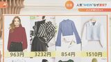 とにかく安いSHEIN(シーイン)の秘密は少量生産!?専門家に聞いてみた|TBS NEWS DIG