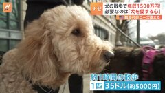 「犬の散歩」で年収1500万円超も　ニューヨークのドッグウォーカー　資格は不要「犬を愛する心」だけ　転機は新型コロナ　ペット飼う人が急増| TBS CROSS DIG with Bloomberg