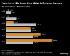 中国の転換社債市場、恐怖まん延－安全な避難先から一変| TBS CROSS DIG with Bloomberg
