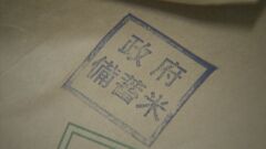 “令和のコメ騒動”に国がようやく動き　農水省が備蓄米の市場放出の方針決定も専門家「効果は未知数」| TBS CROSS DIG with Bloomberg