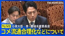 【LIVE】参院農林水産委員会 小泉大臣がコメなど食品等の流通合理化など質疑 2025年6月3日午前10時~|TBS NEWS DIG