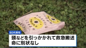 自宅敷地内にネズミ駆除剤まいていた80代男性、体長1.5メートルのクマに襲われけが 命に別状なし 福島・会津坂下町|TBS NEWS DIG